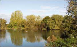 Saintbridge Pond in Gloucester