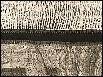 Pauline Burbride's Applecross Quilt (detail)