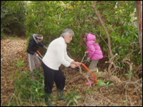 Volunteers clear rhododendrons.