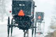 Two Amish horse-drawn buggies with reflective safety triangles attached to them drive through the snow