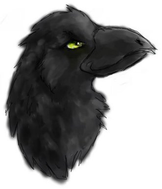 Crow