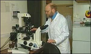 Tvůrce legendární Doll Ian Wilmut si klonování dětí nepřeje