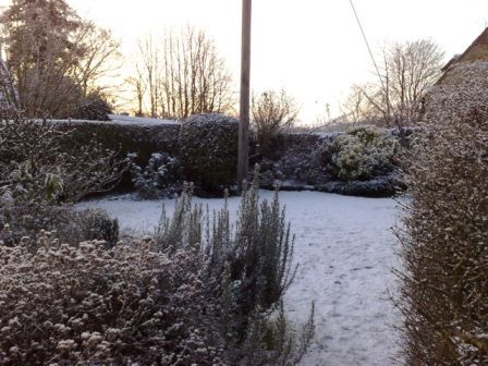 winterfred1.jpg
