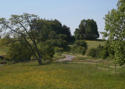 We're in the middle of nowhere