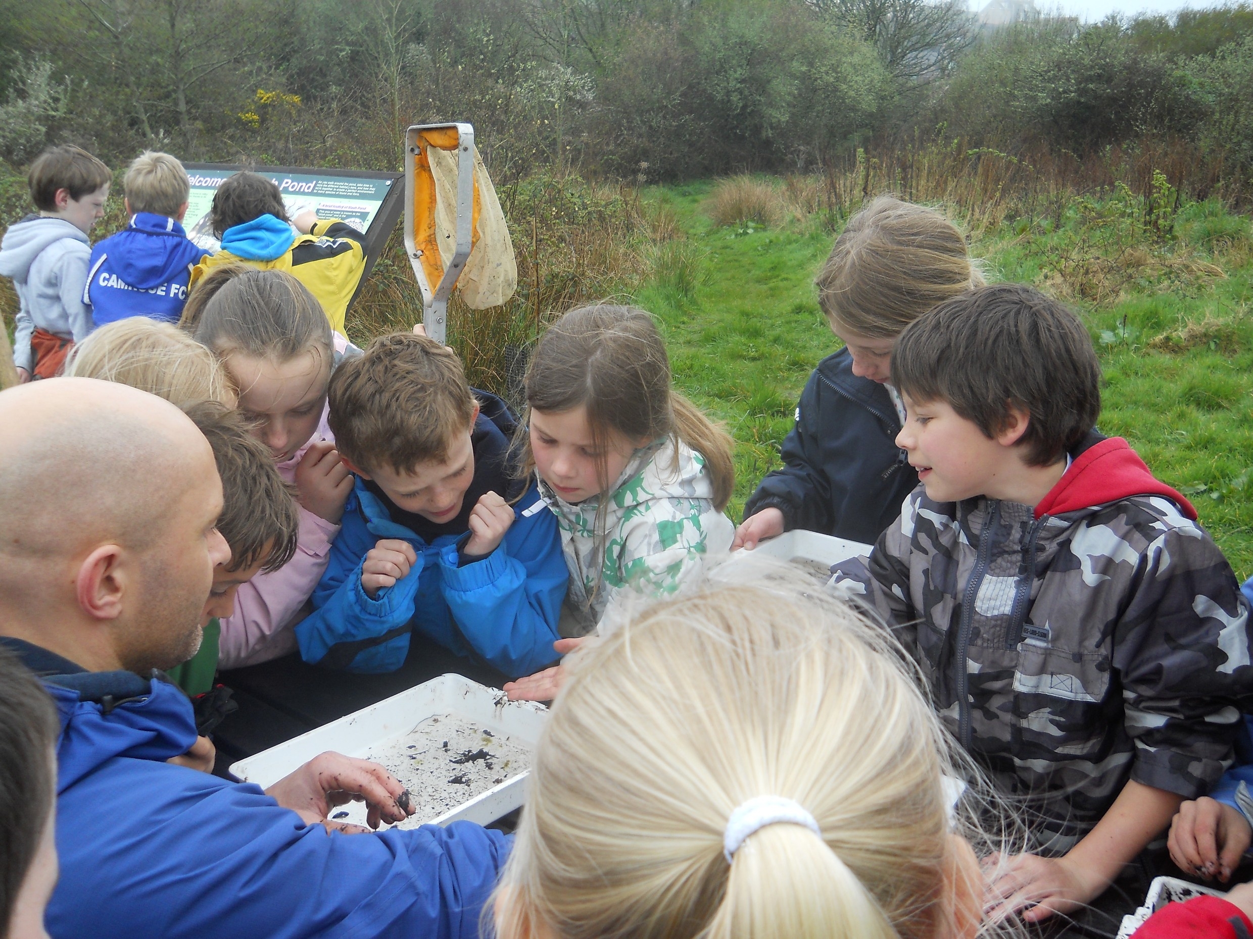 Welsh pupils explore their environment