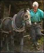 Merlod pwll glo - rhai o weithwyr y diwydiant glo