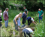 volunteers get down and dirty
