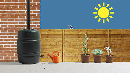 A waterbutt connected to a drainpipe.