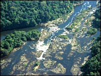 Rừng nhiệt đới