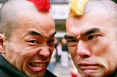Blog Fools