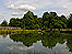 A pond in Richmond Park