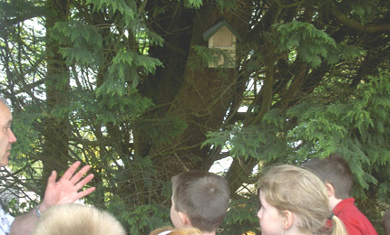 Loughmacrory homes for wildlife.