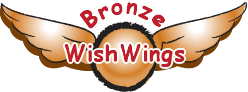 Bronze WishWings