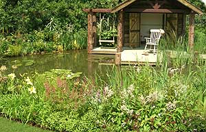 Pete Sims' Come rain or Shine Garden, 2006