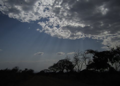 Under African Skies