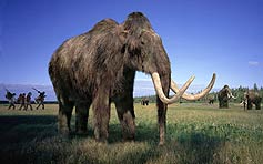 Woolly Mammoth - from Walking with Beasts