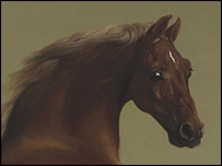 Whistlejacket by Stubbs: © The National Gallery