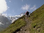 Walking in the Alps