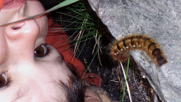 Photo of young boy looking at a caterpillar