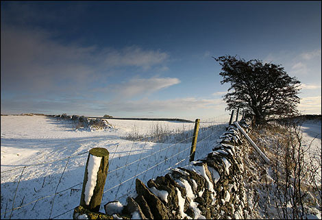 Snow on Longstone Moor | Photo: Chris Gilbert
