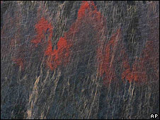 Mancha de crudo en el Golfo de México