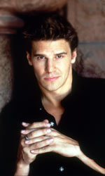 David Boreanaz as Angel