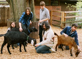 Fleet Foxes