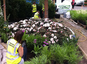 Tom Hoblyn's RHS Chelsea Flower Show Garden 2011