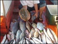 ہمارے لئے کنٹریکٹ سے بہتر لائسنس کا نظام ہے: مچھیرے 