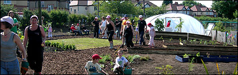 Mexborough Allotments after the makeover, June 2008
