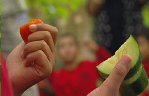 Image: Vegetable garden