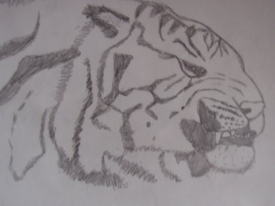 Crouching tiger hidden beast