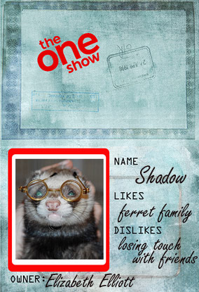 A sample of what your pet's picture may look like in our pet passport template