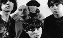 The Inspiral Carpets