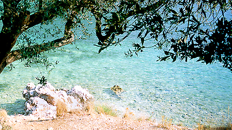 Photograph of Ithaca