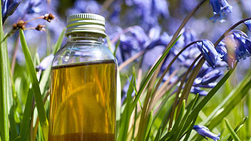 Healthy scalp oil