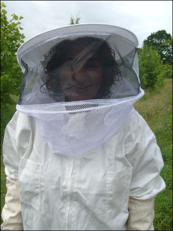 BBC Leicester's Rupal Rajani takes on the bees!
