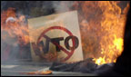 Burning anti-WTO sign from Seattle