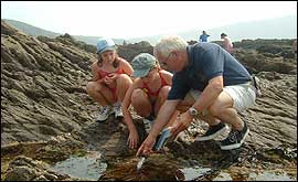 Rockpooling