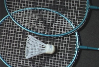 offer Badminton