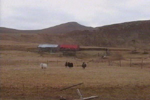 Isobel has achieved a lot