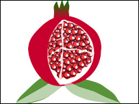 دانارکيسۍ