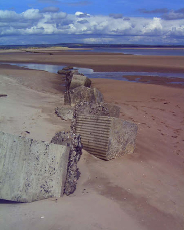 Tentsmuir Sands, photo by Don Anderson