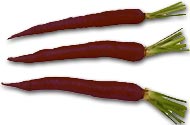 Purple carrots
