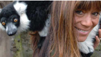 Wild Welsh Zoo