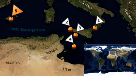 Dive map - Mediterranean Sea - Site 5
