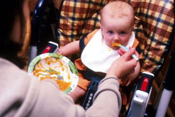 Image: feeding frenzy