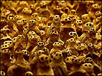 Antony Gormley's Field for the British Isles