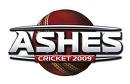 ashescricket09.jpg