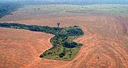 Aerial view of deforestation